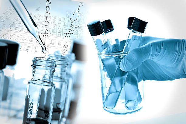 Rizhao Kunda Import & Export Trading Co., Ltd.