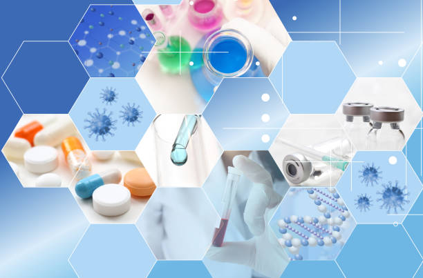 Shandong Hongda Group